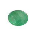 AGR_88374_FRONT.png