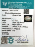 ITLGR_101959_CERTIFICATE.webp