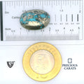 ITLGR_100846_SCALE.webp