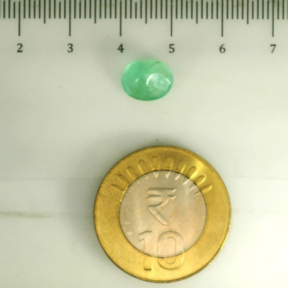 AGR_88383_SCALE.webp
