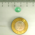 AGR_88383_SCALE.webp