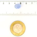 IGITL_211705_SCALE.webp