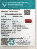 ITLGR_99869_CERTIFICATE.webp