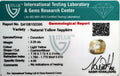 ITLGR_100395_CERTIFICATE.webp