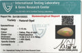 ITLGR_100553_CERTIFICATE.webp