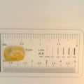 ITLGR_98860_SCALE.webp