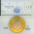 IGITL_197786_SCALE.webp