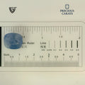 ITLGR_99031_SCALE.webp