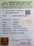 IGITL_200270_CERTIFICATE.webp