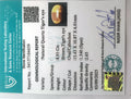 ITLGR_104459_CERTIFICATE.webp