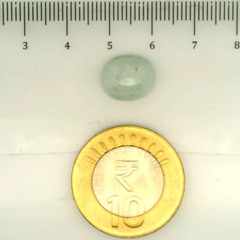 ITLGR_109513_SCALE.webp