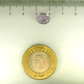 ITLGR_112952_SCALE.webp