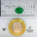 ITLGR_102130_SCALE.webp