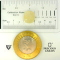 ITLGR_109950_SCALE.webp