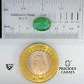 ITLGR_102149_SCALE.webp