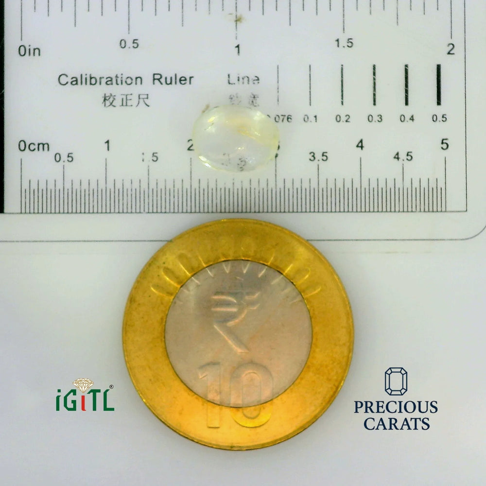 IGITL_197808_SCALE.webp