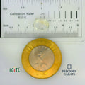 IGITL_197808_SCALE.webp