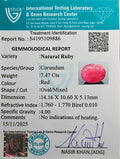 ITLGR_109886_CERTIFICATE.webp