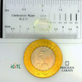 IGITL_197735_SCALE.webp
