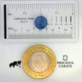 GFCO_33925-25_SCALE.webp