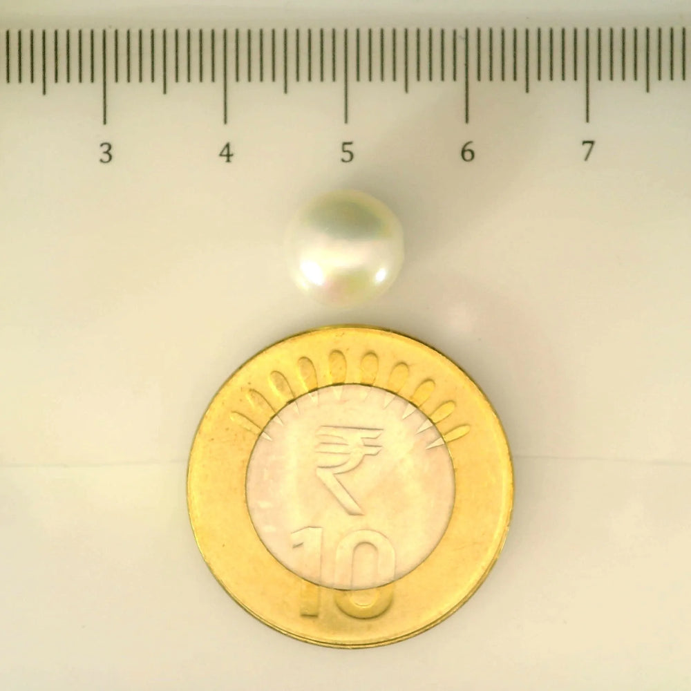 ITLGR_106998_SCALE.webp