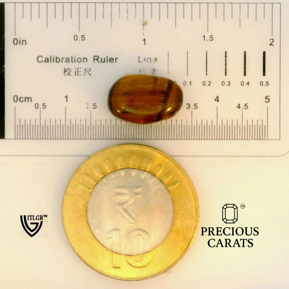 ITLGR_104470_SCALE.webp