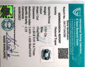 ITLGR_104580_CERTIFICATE.webp