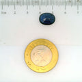 GFCO_28281-12_SCALE.webp