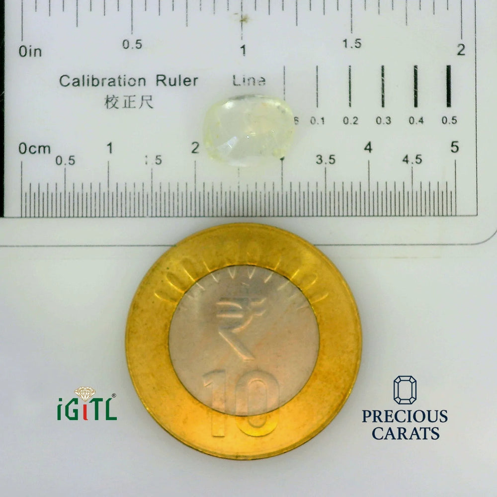 IGITL_197813_SCALE.webp