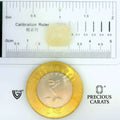 ITLGR_109990_SCALE.webp