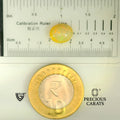 ITLGR_100511_SCALE.webp
