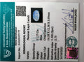 ITLGR_107177_CERTIFICATE.webp