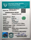 ITLGR_105073_CERTIFICATE.webp
