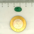 IGITL_203360_SCALE.webp