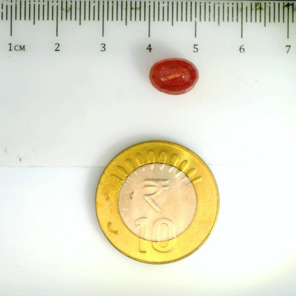 ITLGR_2435_SCALE.webp