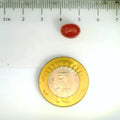 ITLGR_2435_SCALE.webp