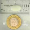 ITLGR_101875_SCALE.webp