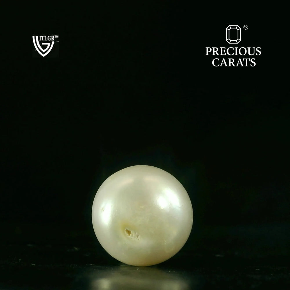ITLGR_106981_BACK.webp