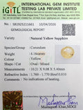 IGITL_211661_CERTIFICATE.webp
