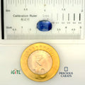 IGITL_200206_SCALE.webp