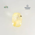 IGITL_194724_TOP.webp