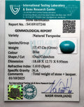 ITLGR_107246_CERTIFICATE.webp