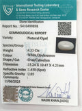 ITLGR_99898_CERTIFICATE.webp