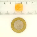 ITLGR_121749_SCALE.webp