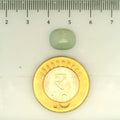 ITLGR_109487_SCALE.webp