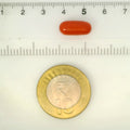 ITLGR_121359_SCALE.webp