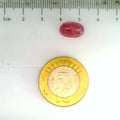 ITLGR_2429_SCALE.webp