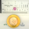 IGITL_200213_SCALE.webp