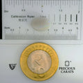 ITLGR_101909_SCALE.webp