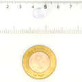 IGITL_211737_SCALE.webp